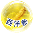 04-改