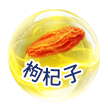 05-枸杞子