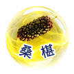 07-桑椹