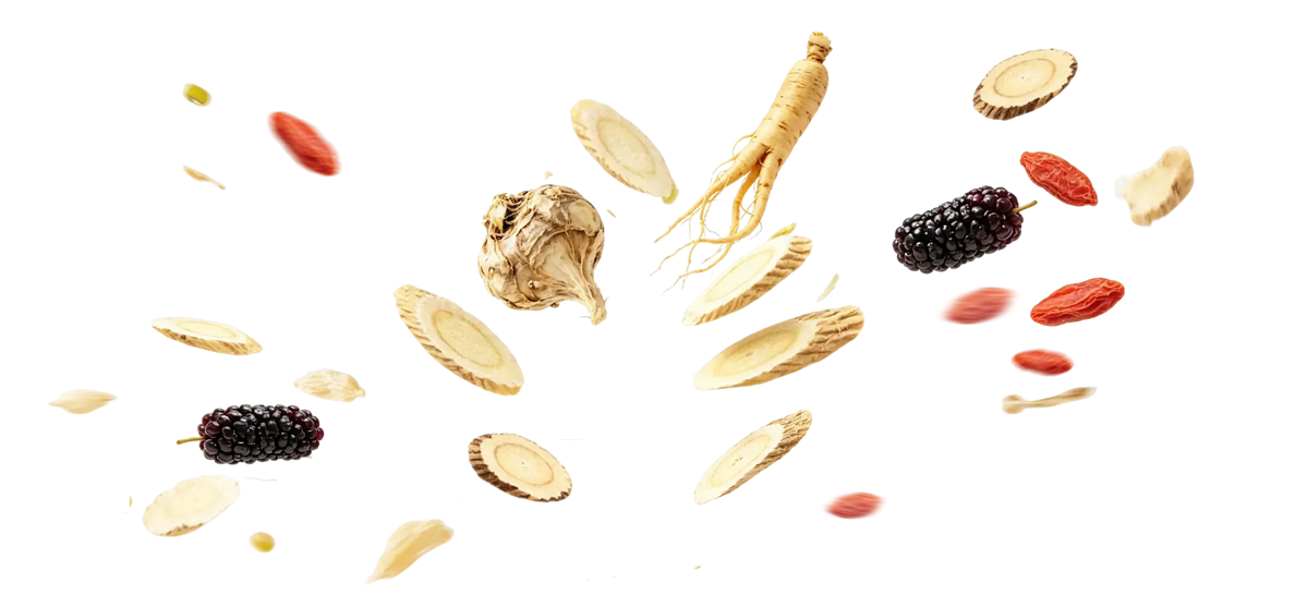 02-玛咖